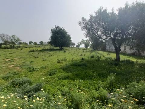 Terreno para construção de moradia com Vista Mar.