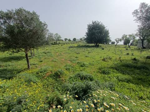Terreno para construção de moradia com Vista Mar.