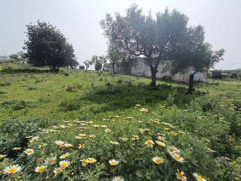 Terreno para construção de moradia com Vista Mar.
