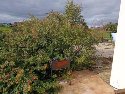 MORADIA ISOLADA T1 COM 263 M2 - COM PATIO - ALCARIAS GRANDES - CASTRO MARIM - ALGARVE