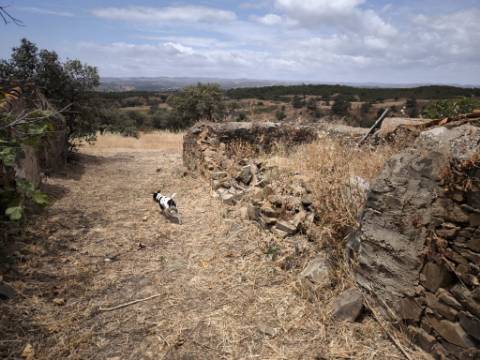 MORADIAS COM TERRENO DE 1.680 M2 - PARA RECONSTRUIR - NA ALDEIA DA SENTINELA EM CASTRO MARIM - ALGARVE