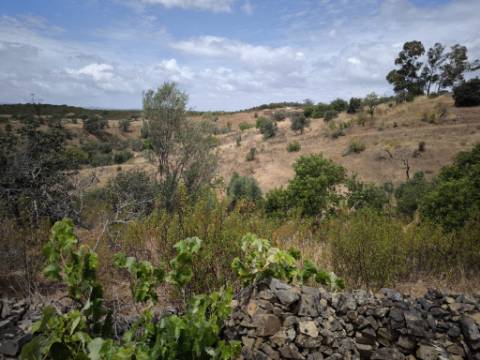 MORADIAS COM TERRENO DE 1.680 M2 - PARA RECONSTRUIR - NA ALDEIA DA SENTINELA EM CASTRO MARIM - ALGARVE