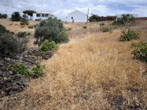 MORADIAS COM TERRENO DE 1.680 M2 - PARA RECONSTRUIR - NA ALDEIA DA SENTINELA EM CASTRO MARIM - ALGARVE
