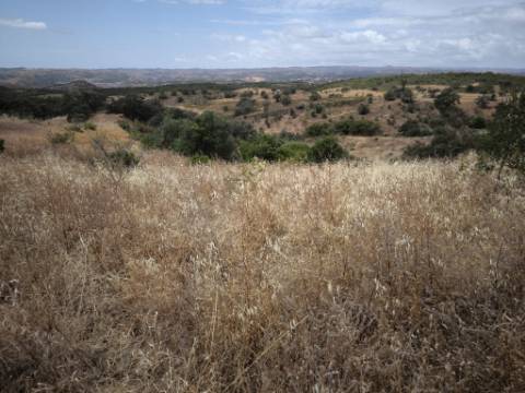 MORADIAS COM TERRENO DE 1.680 M2 - PARA RECONSTRUIR - NA ALDEIA DA SENTINELA EM CASTRO MARIM - ALGARVE