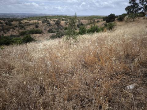 MORADIAS COM TERRENO DE 1.680 M2 - PARA RECONSTRUIR - NA ALDEIA DA SENTINELA EM CASTRO MARIM - ALGARVE