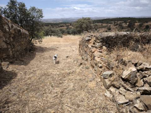 MORADIAS COM TERRENO DE 1.680 M2 - PARA RECONSTRUIR - NA ALDEIA DA SENTINELA EM CASTRO MARIM - ALGARVE