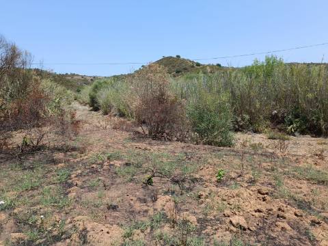 TERRENO RUSTICO COM 2.960 M2 - PLANO- NO AZINHAL EM CASTRO MARIM - ALGARVE