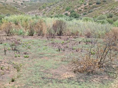 TERRENO RUSTICO COM 2.960 M2 - PLANO- NO AZINHAL EM CASTRO MARIM - ALGARVE