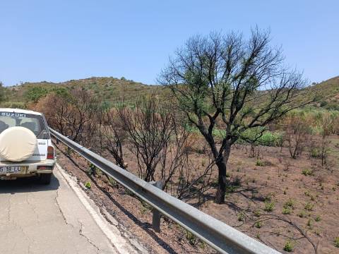 TERRENO RUSTICO COM 2.960 M2 - PLANO- NO AZINHAL EM CASTRO MARIM - ALGARVE