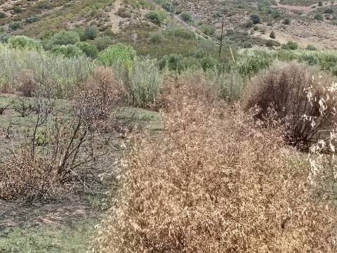 TERRENO RUSTICO COM 2.960 M2 - PLANO- NO AZINHAL EM CASTRO MARIM - ALGARVE