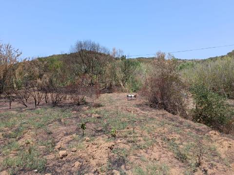 TERRENO RUSTICO COM 2.960 M2 - PLANO- NO AZINHAL EM CASTRO MARIM - ALGARVE