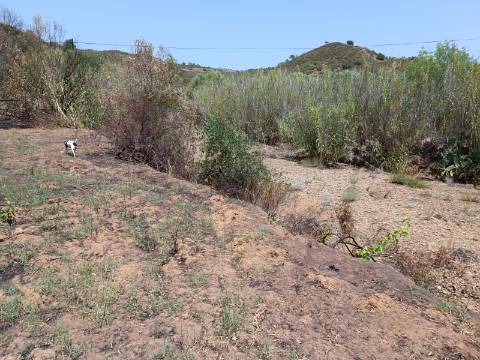 TERRENO RUSTICO COM 2.960 M2 - PLANO- NO AZINHAL EM CASTRO MARIM - ALGARVE