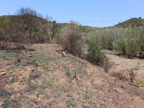 TERRENO RUSTICO COM 2.960 M2 - PLANO- NO AZINHAL EM CASTRO MARIM - ALGARVE