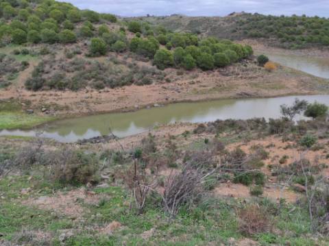 TERRENO COM 36.640 M2 - JUNTO AO LAGO - POSSIBILIDADE DE CONSTRUÇÃO ARMAZÉM - PISA BARRO - CASTRO MARIM - ALGARVE