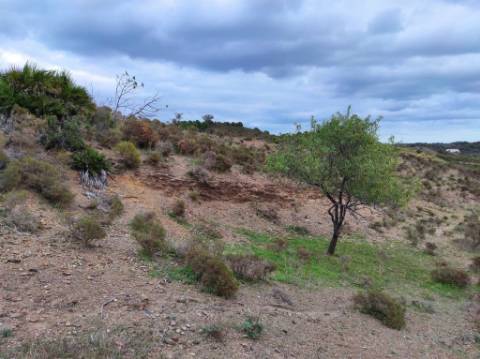 TERRENO COM 36.640 M2 - JUNTO AO LAGO - POSSIBILIDADE DE CONSTRUÇÃO ARMAZÉM - PISA BARRO - CASTRO MARIM - ALGARVE