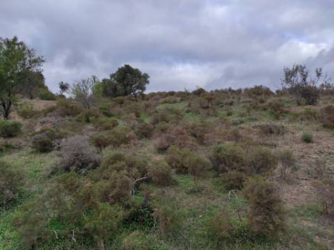 TERRENO COM 36.640 M2 - JUNTO AO LAGO - POSSIBILIDADE DE CONSTRUÇÃO ARMAZÉM - PISA BARRO - CASTRO MARIM - ALGARVE