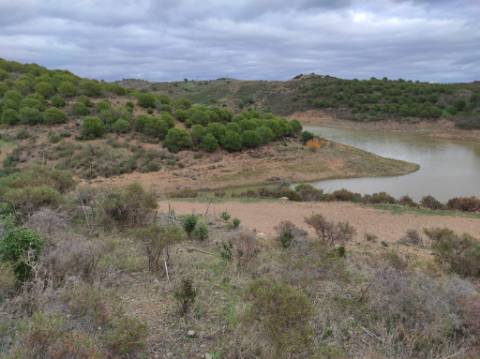 TERRENO COM 36.640 M2 - JUNTO AO LAGO - POSSIBILIDADE DE CONSTRUÇÃO ARMAZÉM - PISA BARRO - CASTRO MARIM - ALGARVE