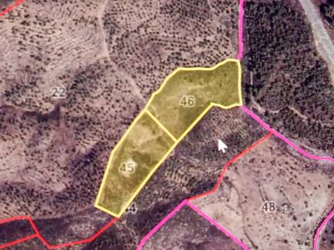 TERRENO RUSTICO COM 21.360 M2 - COM LAGO PRIVADO - VALE DO PEREIRO - CASTRO MARIM - ALGARVE