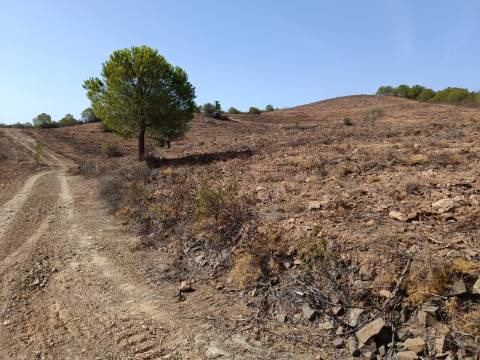 TERRENO RUSTICO COM 21.360 M2 - COM LAGO PRIVADO - VALE DO PEREIRO - CASTRO MARIM - ALGARVE