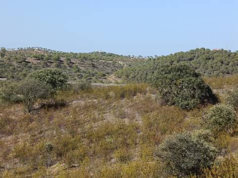 TERRENO RUSTICO COM 21.360 M2 - COM LAGO PRIVADO - VALE DO PEREIRO - CASTRO MARIM - ALGARVE