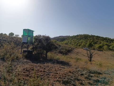 TERRENO RUSTICO COM 21.360 M2 - COM LAGO PRIVADO - VALE DO PEREIRO - CASTRO MARIM - ALGARVE