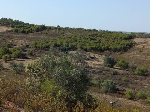 TERRENO RUSTICO COM 21.360 M2 - COM LAGO PRIVADO - VALE DO PEREIRO - CASTRO MARIM - ALGARVE