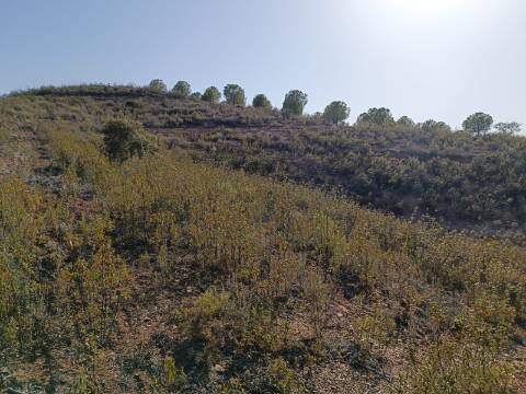 TERRENO RUSTICO COM 21.360 M2 - COM LAGO PRIVADO - VALE DO PEREIRO - CASTRO MARIM - ALGARVE