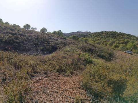 TERRENO RUSTICO COM 21.360 M2 - COM LAGO PRIVADO - VALE DO PEREIRO - CASTRO MARIM - ALGARVE