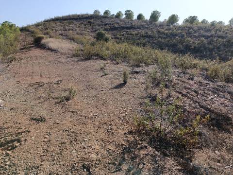 TERRENO RUSTICO COM 21.360 M2 - COM LAGO PRIVADO - VALE DO PEREIRO - CASTRO MARIM - ALGARVE