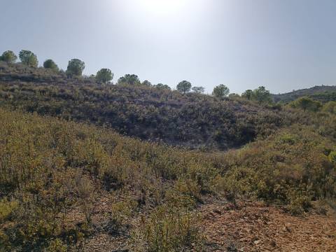 TERRENO RUSTICO COM 21.360 M2 - COM LAGO PRIVADO - VALE DO PEREIRO - CASTRO MARIM - ALGARVE