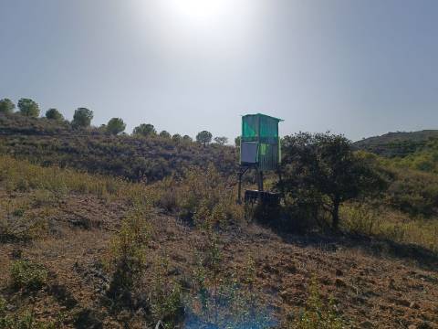 TERRENO RUSTICO COM 21.360 M2 - COM LAGO PRIVADO - VALE DO PEREIRO - CASTRO MARIM - ALGARVE