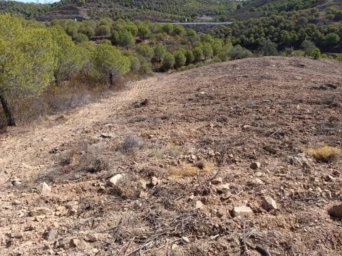 TERRENO RUSTICO COM 21.360 M2 - COM LAGO PRIVADO - VALE DO PEREIRO - CASTRO MARIM - ALGARVE