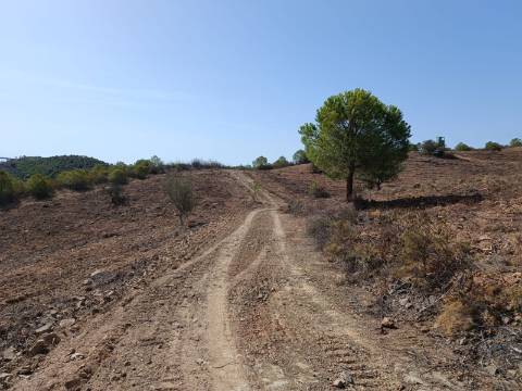 TERRENO RUSTICO COM 21.360 M2 - COM LAGO PRIVADO - VALE DO PEREIRO - CASTRO MARIM - ALGARVE