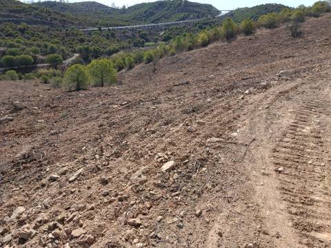 TERRENO RUSTICO COM 21.360 M2 - COM LAGO PRIVADO - VALE DO PEREIRO - CASTRO MARIM - ALGARVE