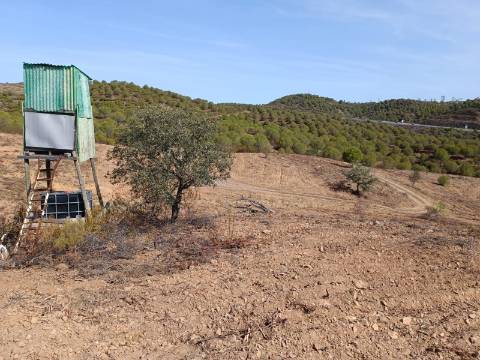 TERRENO RUSTICO COM 21.360 M2 - COM LAGO PRIVADO - VALE DO PEREIRO - CASTRO MARIM - ALGARVE