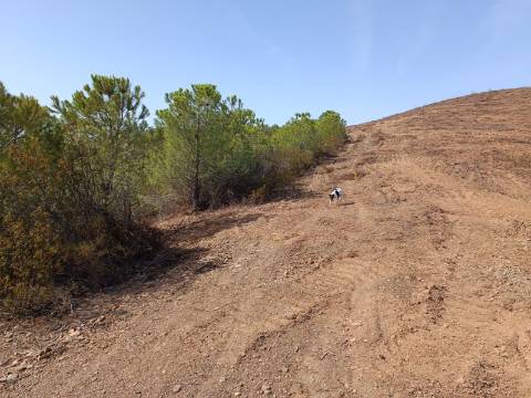 TERRENO RUSTICO COM 21.360 M2 - COM LAGO PRIVADO - VALE DO PEREIRO - CASTRO MARIM - ALGARVE