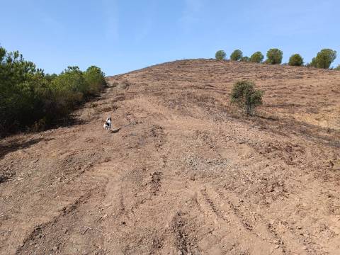 TERRENO RUSTICO COM 21.360 M2 - COM LAGO PRIVADO - VALE DO PEREIRO - CASTRO MARIM - ALGARVE