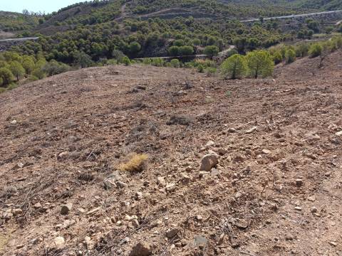 TERRENO RUSTICO COM 21.360 M2 - COM LAGO PRIVADO - VALE DO PEREIRO - CASTRO MARIM - ALGARVE