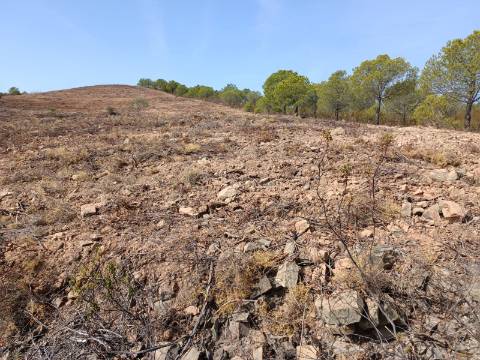 TERRENO RUSTICO COM 21.360 M2 - COM LAGO PRIVADO - VALE DO PEREIRO - CASTRO MARIM - ALGARVE