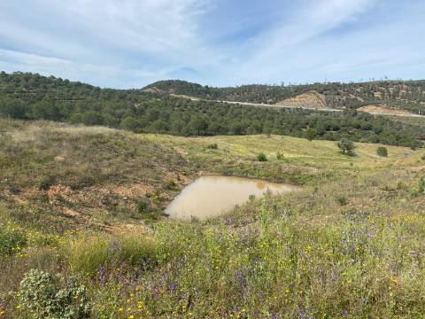 TERRENO RUSTICO COM 21.360 M2 - COM LAGO PRIVADO - VALE DO PEREIRO - CASTRO MARIM - ALGARVE