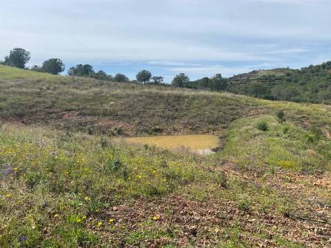 TERRENO RUSTICO COM 21.360 M2 - COM LAGO PRIVADO - VALE DO PEREIRO - CASTRO MARIM - ALGARVE