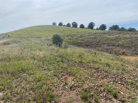 TERRENO RUSTICO COM 21.360 M2 - COM LAGO PRIVADO - VALE DO PEREIRO - CASTRO MARIM - ALGARVE