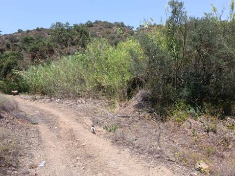 TERRENO COM 1.360 M2 - JUNTO A ALMADA D OURO EM CASTRO MARIM - ALGARVE