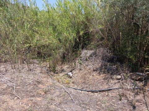 TERRENO COM 1.360 M2 - JUNTO A ALMADA D OURO EM CASTRO MARIM - ALGARVE