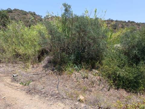 TERRENO COM 1.360 M2 - JUNTO A ALMADA D OURO EM CASTRO MARIM - ALGARVE