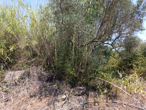 TERRENO COM 1.360 M2 - JUNTO A ALMADA D OURO EM CASTRO MARIM - ALGARVE