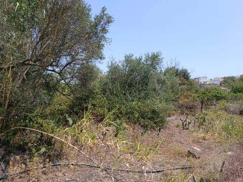 TERRENO COM 1.360 M2 - JUNTO A ALMADA D OURO EM CASTRO MARIM - ALGARVE