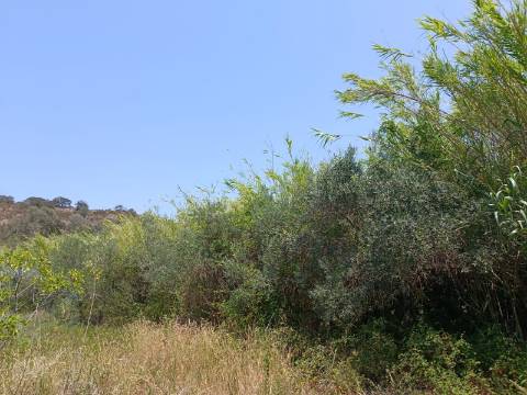 TERRENO COM 1.360 M2 - JUNTO A ALMADA D OURO EM CASTRO MARIM - ALGARVE
