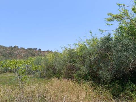 TERRENO COM 1.360 M2 - JUNTO A ALMADA D OURO EM CASTRO MARIM - ALGARVE