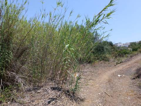 TERRENO COM 1.360 M2 - JUNTO A ALMADA D OURO EM CASTRO MARIM - ALGARVE